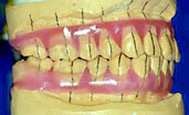 Dr.Hinz